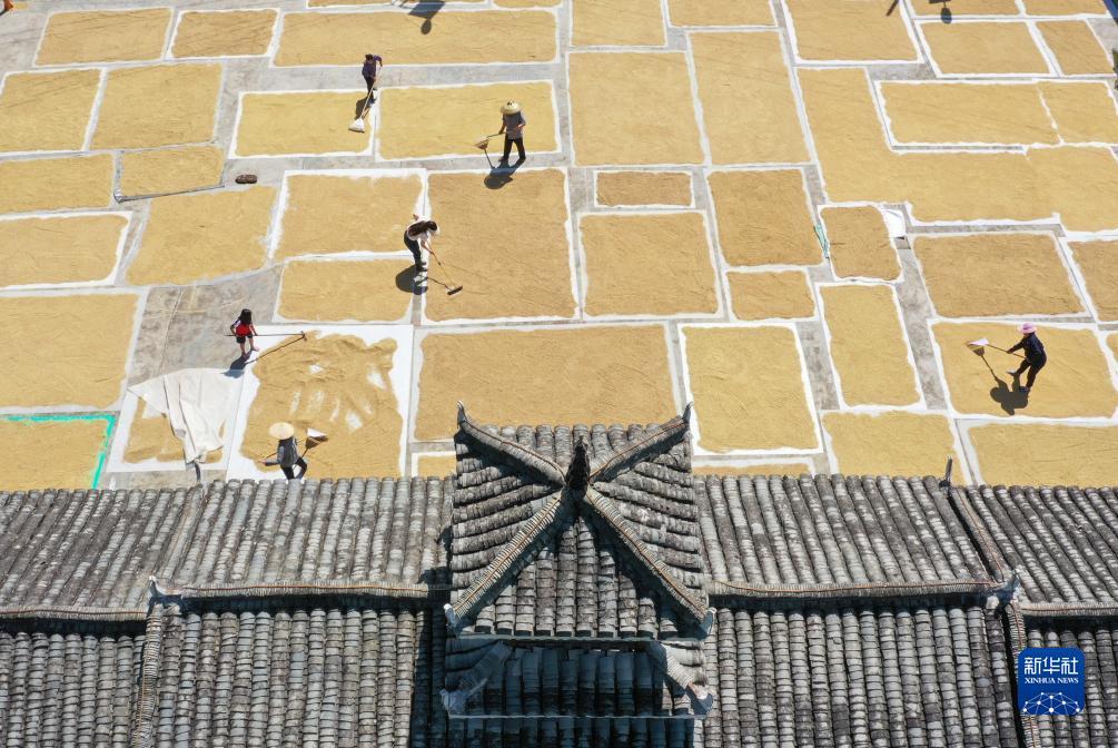龙八娱乐登录